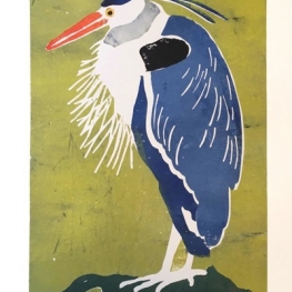 Blauwe reiger, borsthaar achtergrond Blauwe reiger, borsthaar achtergrond