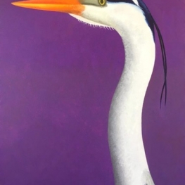 Portret van en blauwe reiger Portret van en blauwe reiger