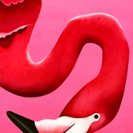 Portret van een flamingo met de kop omlaag Portret van een flamingo met de kop omlaag