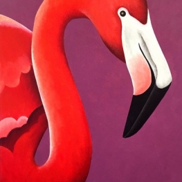 Portret van een flamingo met de kop naar rechts Portret van een flamingo met de kop naar rechts