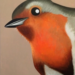Portret van een roodborstje Portret van een roodborstje