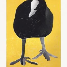 Portret van een meerkoet Portret van een meerkoet
