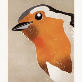 Portret van een roodborst Portret van een roodborst