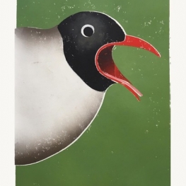 Portret van een Franklins meeuw Portret van een Franklins meeuw