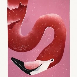 Portret van een flamingo met de kop omlaag Portret van een flamingo met de kop omlaag