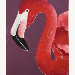 Portret van een flamingo Portret van een flamingo