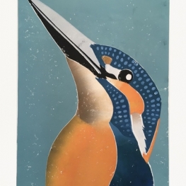 Portret van een ijsvogel Portret van een ijsvogel