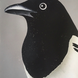 Portret van een ekster Portret van een ekster