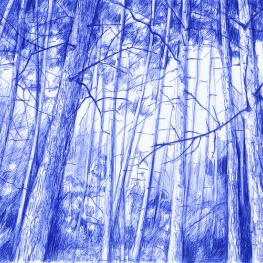 Het Blauwe Uur in Ermelo Het Blauwe Uur in Ermelo