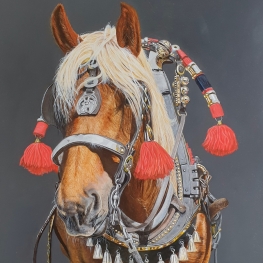Windsor Grey Horse Windsor Grey Horse