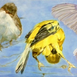 Bright Birdies Bright Birdies