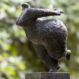 balance XVI balance XVI