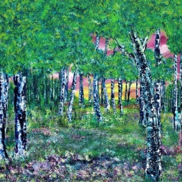 Trees in the summer. Trees in the summer.