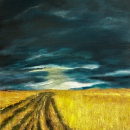 Fields of gold Fields of gold