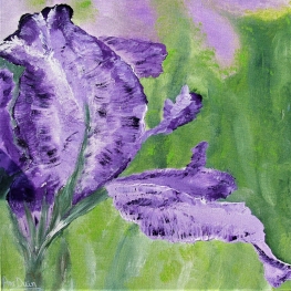Purple flower Purple flower