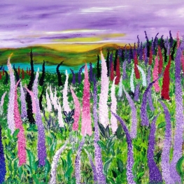 Fields with lupines Fields with lupines
