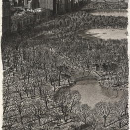 Central Park in Winter Central Park in Winter