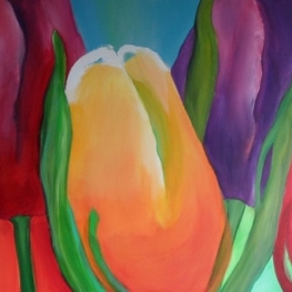 TULPEN 5 TULPEN 5