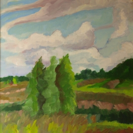 Lutkemeerpolder Lutkemeerpolder