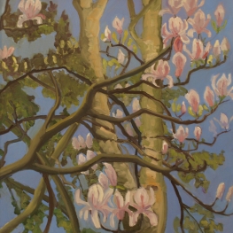 Magnolia Magnolia