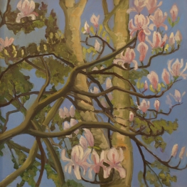 Magnolia Magnolia