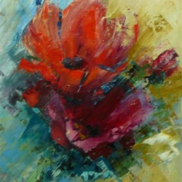 Papavers Papavers