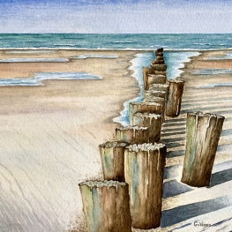Strand met paalhoofden Strand met paalhoofden