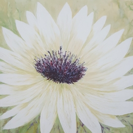 Floral 4 Floral 4
