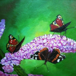 Vlinders Vlinders