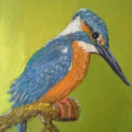 ijsvogel ijsvogel
