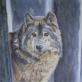 Wolf Wolf