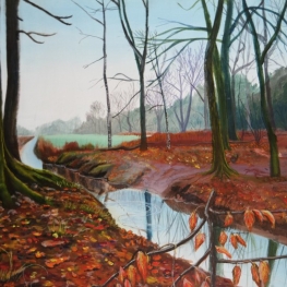 het reeshof bos het reeshof bos