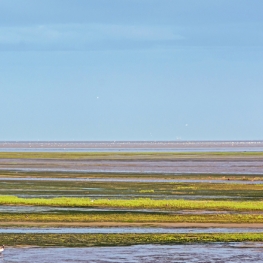 Waddenzee I Waddenzee I