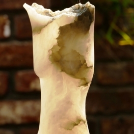 torso 19F torso 19F
