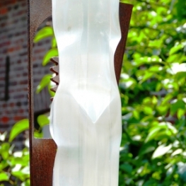 torso 19D torso 19D