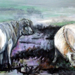 'COWS IN WINTER'