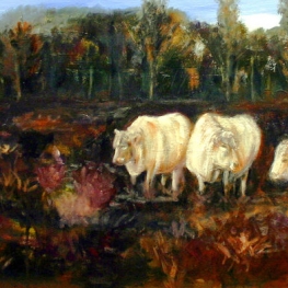 'COWS' 'COWS'