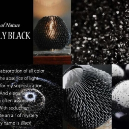 JAPAN - LIGHTS of NATURE - Black JAPAN - LIGHTS of NATURE - Black