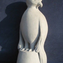 rapace;roofvogel rapace;roofvogel