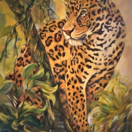 Panter Onca Yucatán Mexico Panter Onca Yucatán Mexico