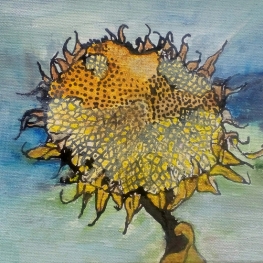 Tijdszonnebloem Tijdszonnebloem