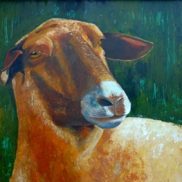 Het bruine schaap Het bruine schaap