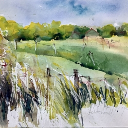 Zomer in de Achterhoek Zomer in de Achterhoek