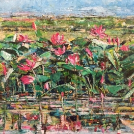 Lotusbloemen Lotusbloemen