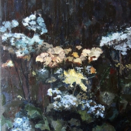 Fluitekruid nr5 Fluitekruid nr5