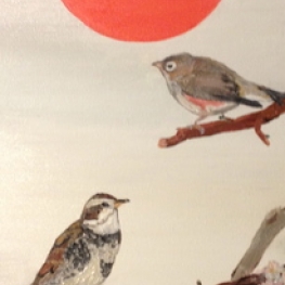 Zonvogels Zonvogels