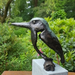 IJsvogel IX IJsvogel IX