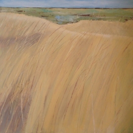 duinlandschap duinlandschap