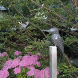 IJsvogeltje op rvs-paaltje IJsvogeltje op rvs-paaltje