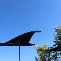 vogelvlucht vogelvlucht